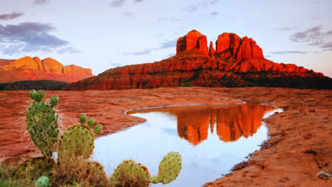Arizona